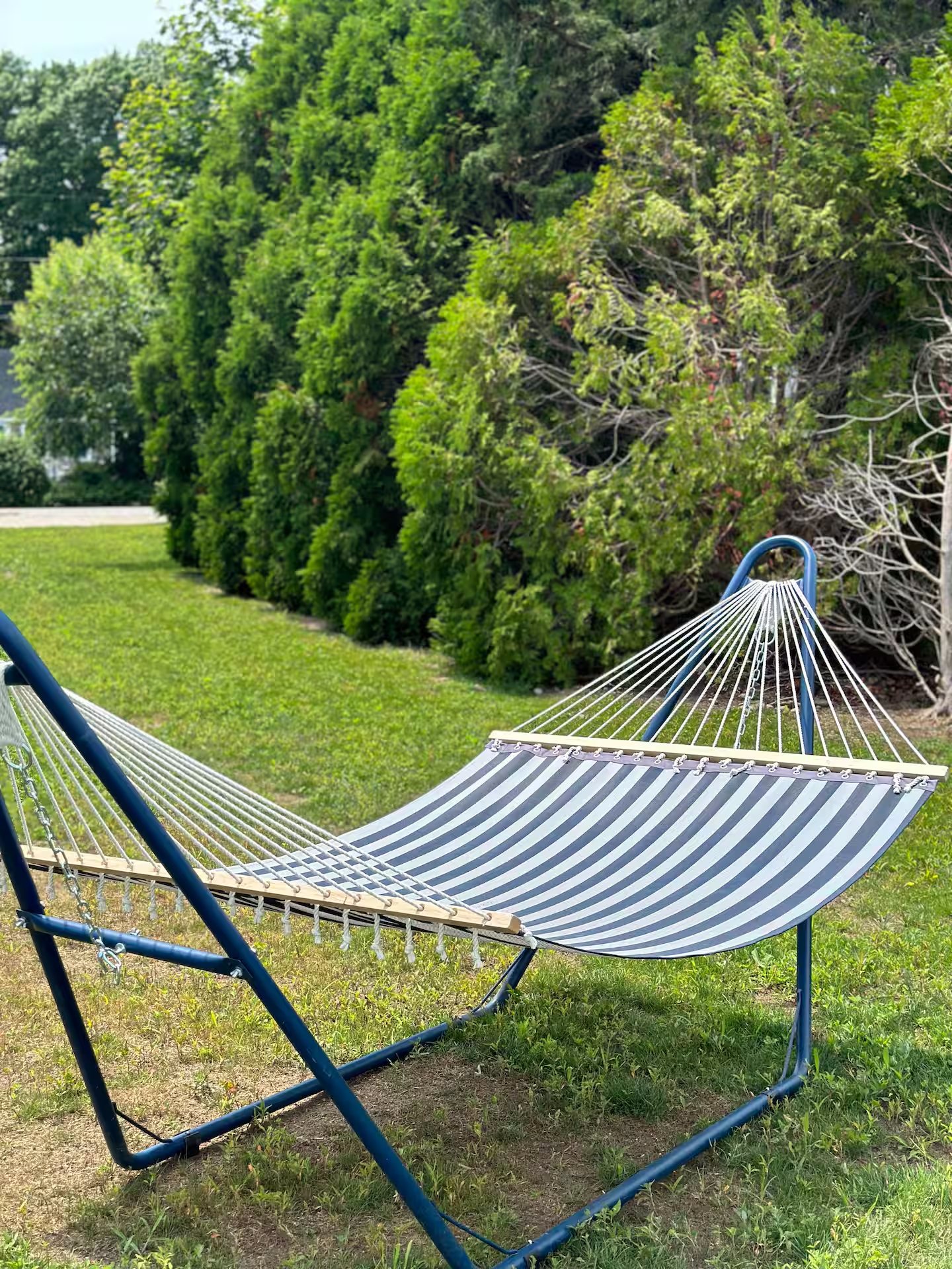 Hammock